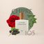 Perfume 105 para mujer, familia chipre