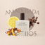Perfume 1105 para hombre, familia amaderada