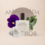 Perfume 1108 para hombre, familia amaderada
