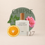 Perfume 127 para mujer, familia chipre
