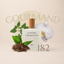 Perfume 182 para mujer, familia gourmand