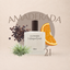 Perfume 21 para hombre, familia amaderada