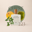 Perfume 223 para mujer, familia chipre
