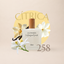 Perfume 258 para mujer, familia cítrica
