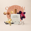 Perfume 275 para mujer, familia oriental