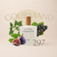Perfume 297 para mujer, familia gourmand