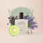 Perfume 43 para hombre, familia fougère