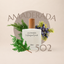Perfume 502 para mujer, familia amaderada