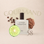 Perfume 58 para hombre, familia gourmand