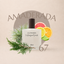Perfume 67 para hombre, familia amaderada