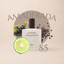 Perfume 85 para hombre, familia amaderada