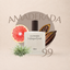 Perfume 99 para hombre, familia amaderada