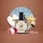 Perfume árabe PA-6 para unisex, familia amaderada