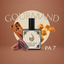 Perfume árabe PA-7 para unisex, familia oriental