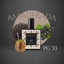 Perfume Nicho PG-33 para unisex, familia amaderada