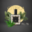 Perfume Nicho PG-78 para unisex, familia cítrica