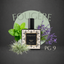 Perfume Nicho PG-9 para hombre, familia fougère