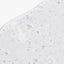 MOK-8 Gel limpiador facial calmante antiimperfecciones - 100 ml - PASO 1 -